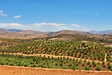 mediteranian landscape background