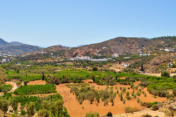 mediteranian landscape background