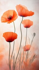 Wall Mural - Orange poppies with delicate stems on a