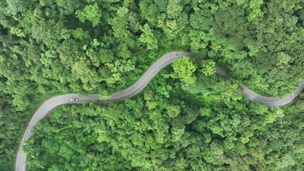 Wall Mural - Fog and cloud mountain valley landscape , Aerial view of a road in the middle of the forest , Ecosystem ecology healthy environment road trip travel.	