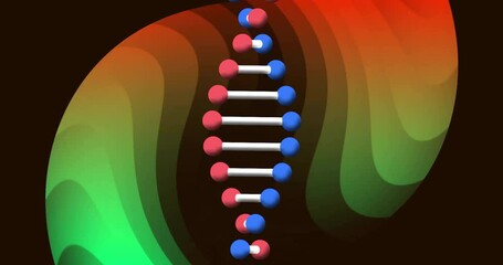 Canvas Print - Animation of glowing light trails over dna strand spinning