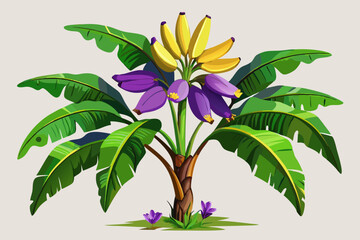 Sticker - Banana tree with banana flower on white background