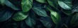 © Adi - Lush Green Leaves Background: Nature's Elegance Displayed