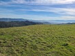 © Salil - View of Las Trampass hills in the East Bay after winter rains bring greenery and wildflowers on the hills
