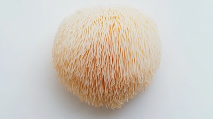 A large white mushroom with a white stem. The mushroom is very large and has a lot of white hair on it