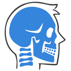 Wall Mural - Skull