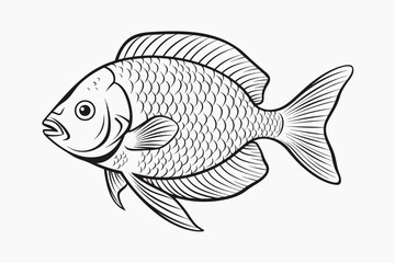 Wall Mural - Detailed fish line art illustration