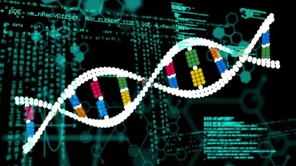 Wall Mural - Animation of data processing over dna strand