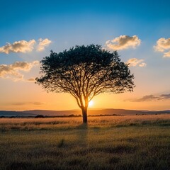 Sticker - A single tree silhouetted against a vibrant sunset.