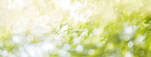 Wall Mural - Fresh Green Leaves with Sunlight Bokeh Background