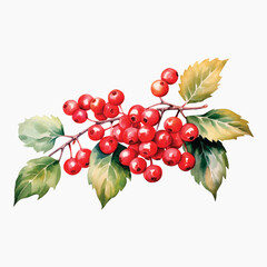 Canvas Print - Vibrant watercolor red berries illustration