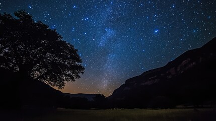Wall Mural - night sky filled with twinkling stars