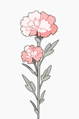 Poster - Elegant pink carnation illustration