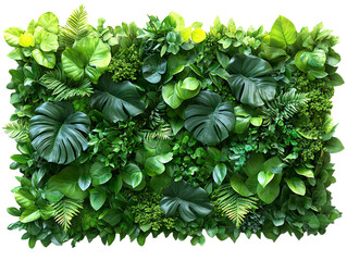 Wall Mural - Green Wall with Lush Plants for Interior Design