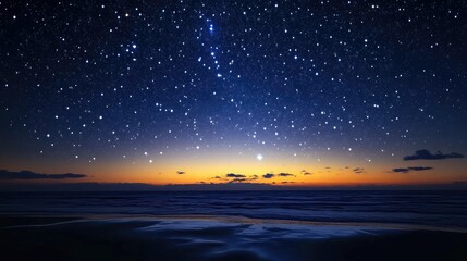 Wall Mural - night sky filled with twinkling stars
