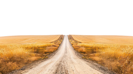 Endless horizon prairie road ,isolated on a pure white background