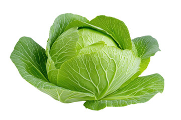 Fresh green cabbage with vibrant leaves, perfect for healthy recipes and vibrant vegetable displays.