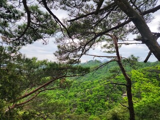 Image of summer scenery of Dobongsan Mountain near Seoul, Korea. Hiking in Dobosan National Park. korea mountains. trekking. korean landscapes. bukhansan national park.