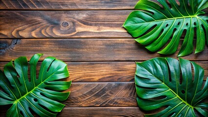 Vibrant Monstera leaves arranged on rustic wooden background for tropical vibes