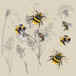© Mary fleur - Collection of vector high realistic bumblebee insects with wild dry meadow plants