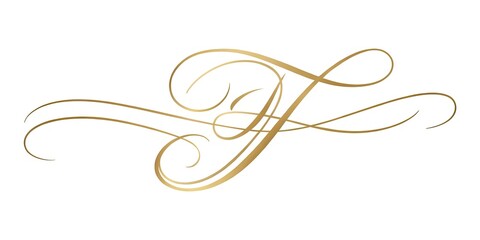 A bold, cursive signature featuring the prominent letter F, embellished with elegant flourishes, on a crisp white background, conveying confidence and sophistication.