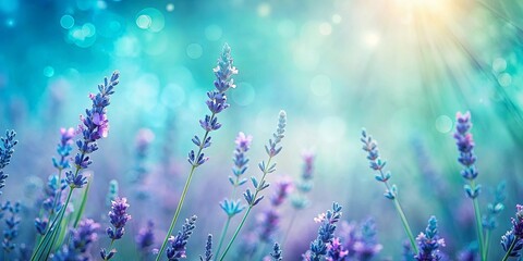 Wall Mural - Abstract wallpaper with soothing lavender and turquoise hues creating a calming blur