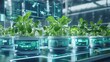 © Kopgz-41 - Biotech Breakthrough: Futuristic Lab Cultivates Plants in Digital Pots with AI Monitoring