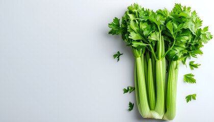 Canvas Print - fresh celery isolated on white background.Top view. Flat lay