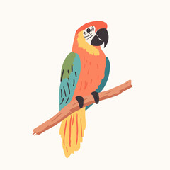 Colorful Parrot Perched on a Branch