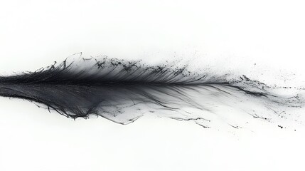 Wall Mural - A black and white image of a feathery line with a lot of black and white specks