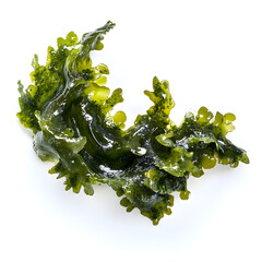 Poster - Laminaria Seaweed Isolated on White Background. Green kelp seaweed from deep sea isolated