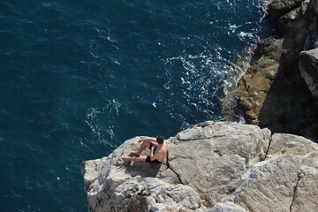 sea lion on rock