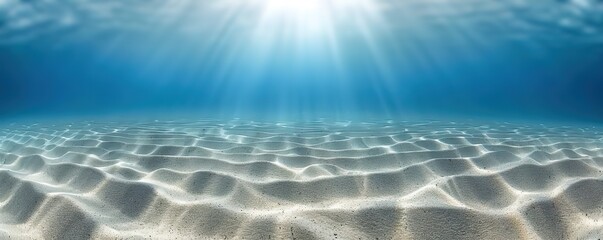 Sunlight shines through the clear blue water, illuminating the sandy seabed. This underwater scene creates a sense of serenity and beauty.