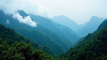 Canvas Print - Misty Mountain Landscape Serenity