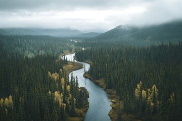 Sticker - mist over the lake