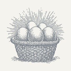 Wall Mural - Eggs in Basket3. Vintage woodcut engraving style vector illustration.