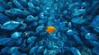 © Galib - A single yellow fish swimming among a school of blue fish.