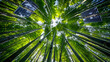Bamboo forest with stalks growing into radio towers and leaves unfolding into solar panel arrays 