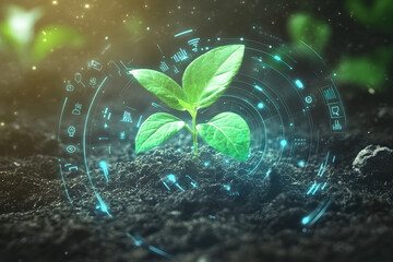 Young green plant sprouting from soil with digital holographic data displays in futuristic agricultural scene