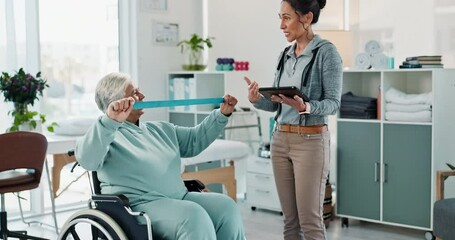 Wall Mural - Physiotherapy, stretching band and elderly woman with exercise for muscle, recovery or healing. Physiotherapist, help and person with disability in wheelchair for mobility, support and rehabilitation