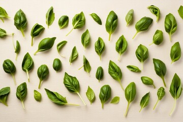 Wall Mural - Drifting Basil Leaves on Soft Canvas Background