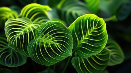 green leafy plant. generative ai