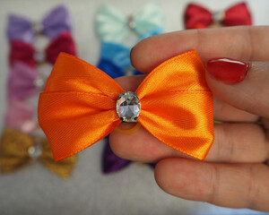 Wall Mural - orange bow with a stone in the middle lies in the hand against the background of other bows. pet accessories top view