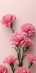 Wall Mural - A bouquet of pink carnations with green stems and leaves is arranged against a light pink background.