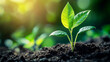 © Wendelin - Growing Plant: A small plant sprouting from soil symbolizes growth, nurturing, and the gradual