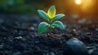 © artiiz - Young plant sprouting from the soil, representing growth and new beginnings, 3D illustration