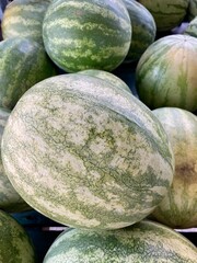 watermelons at the market