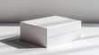 © Going Place - A 3D render of a plain white rectangular box with smooth edges and a closed lid, casting a soft shadow