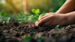 © lukshan - Close-up of Hands Gently Planting a Small Sapling in Fresh Soil