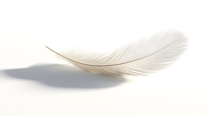 CG Floating Feather: A delicate, CG-rendered feather floating gracefully on a white background, casting a soft shadow.
